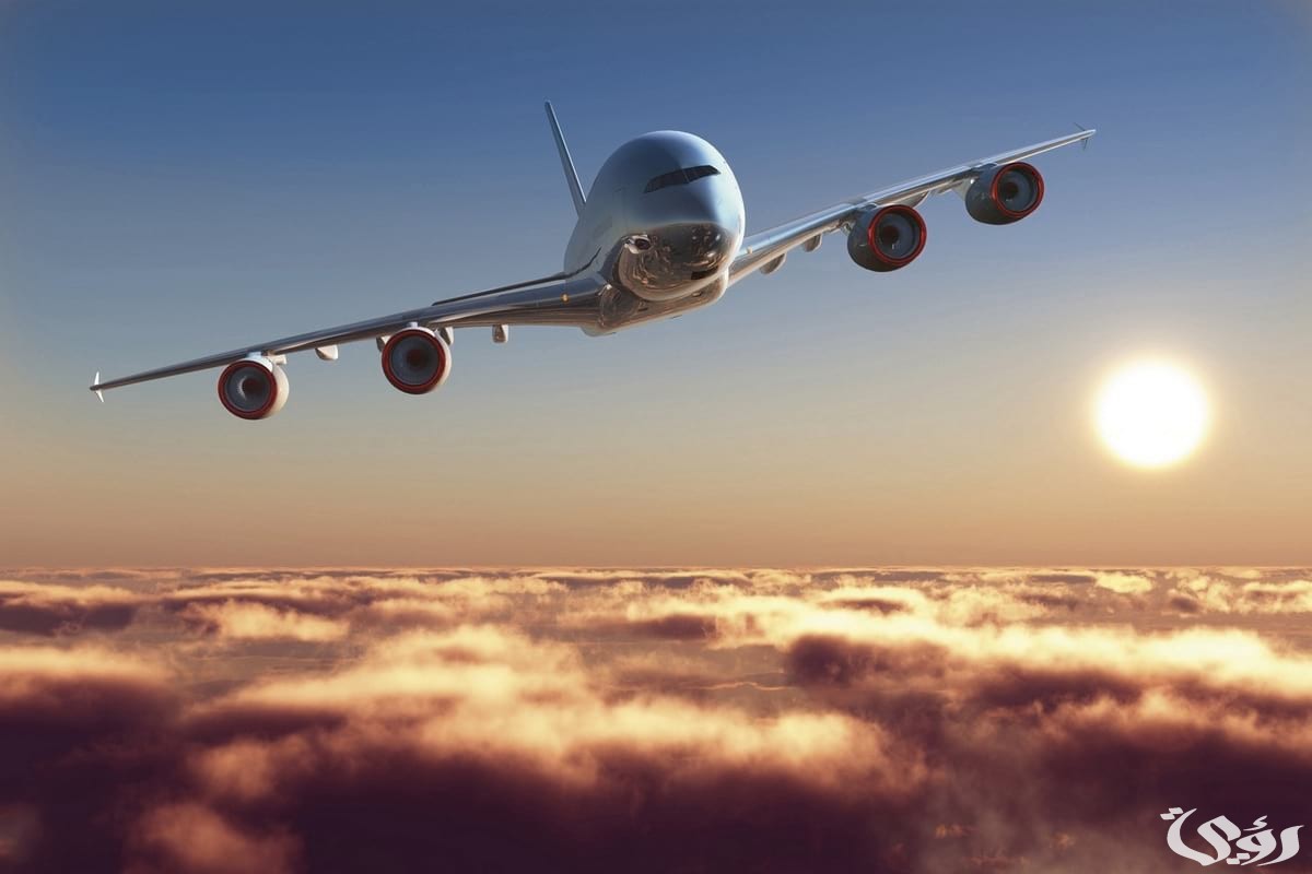 كيفية معرفة أسعار تذاكر الطيران المخفضة