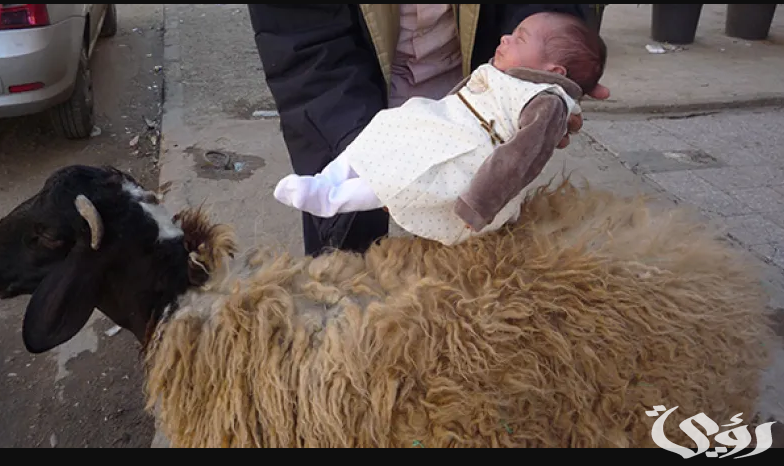 تفسير حلم العقيقة