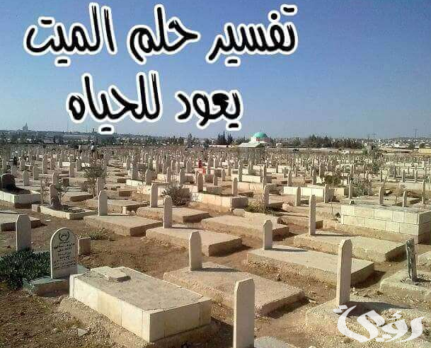 تفسير رؤية الميت يعود للحياة في المنام 2 تفسير رؤية الميت يعود للحياة