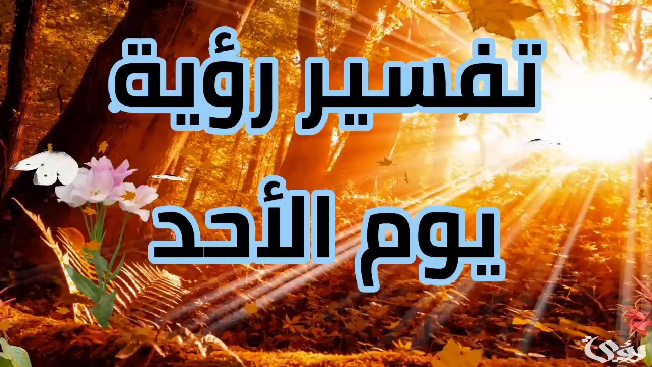 أشهر 15 تفسير رؤية يوم الأحد في المنام 1 تفسير رؤية يوم الأحد