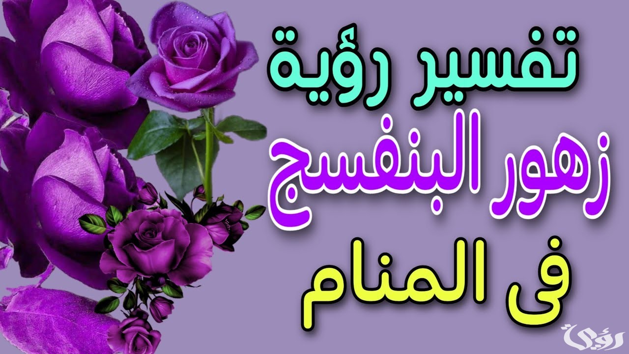تفسير رؤية زهور البنفسج 5 تفسيرات في المنام 5 تفسير رؤية زهور البنفسج