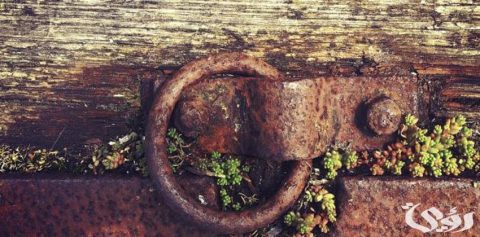 بحث عن صدأ الحديد