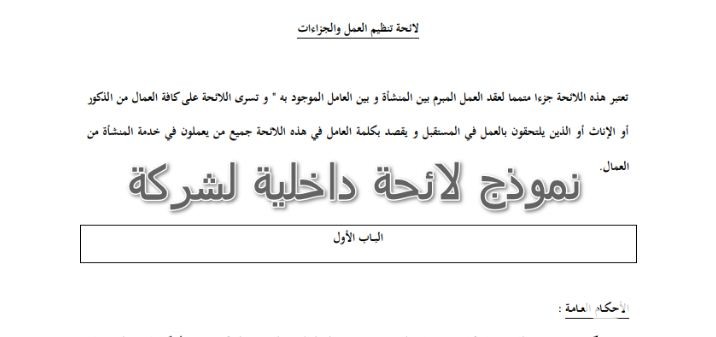 نموذج لائحة داخلية لمنظمة جاهز 2 نموذج لائحة داخلية لمنظمة