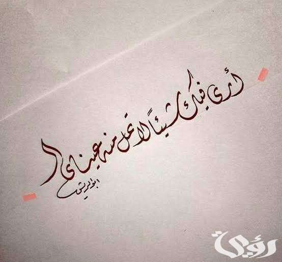 images 2022 12 17T233914.518