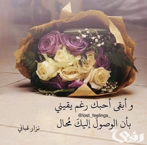 images 2022 12 20T201111.700