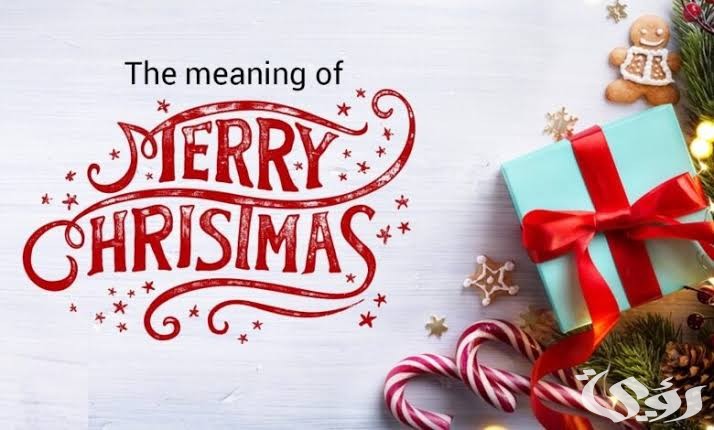 images 2022 12 23T100611.819