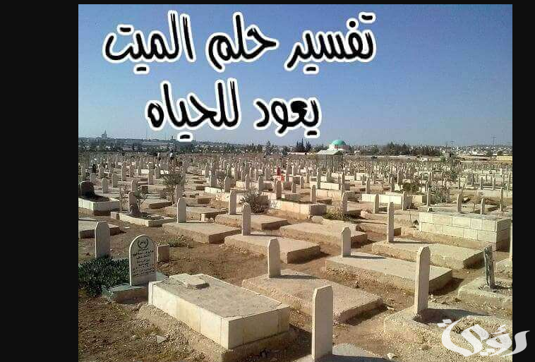 ما تفسير رؤية الميت يعود للحياة في المنام 5 تفسير رؤية الميت يعود للحياة في المنام