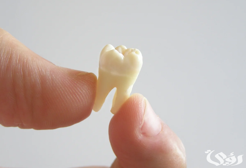 تفسير حلم سقوط سن واحد سفلي في اليد