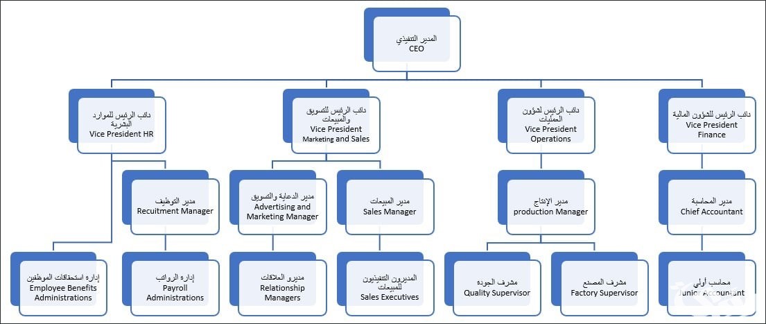 نموذج هيكل تنظيمي جاهز 2 نموذج هيكل تنظيمي