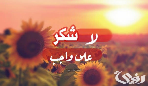 images 2023 01 01T211946.576