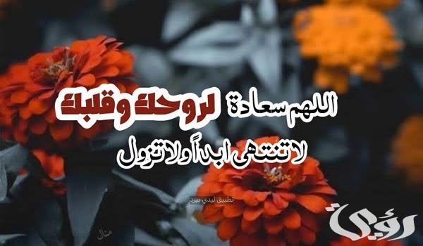 images 2023 01 02T220031.770