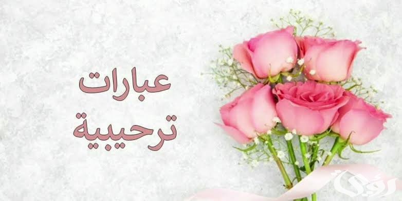 images 2023 01 05T211118.700