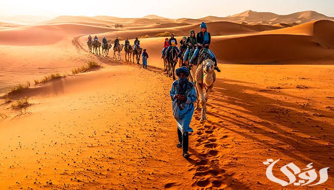 images 2023 01 08T220515.677