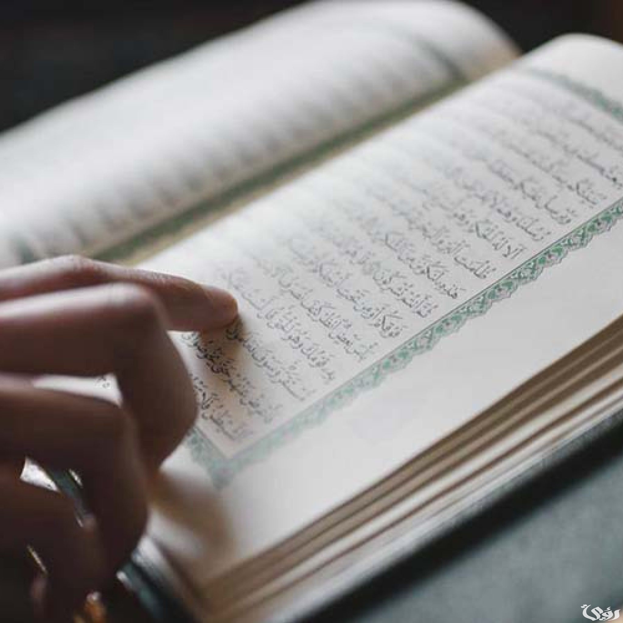 بحث عن الحذف والإثبات