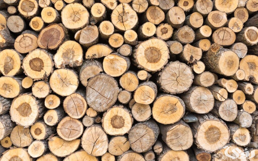 بحث عن الخشب