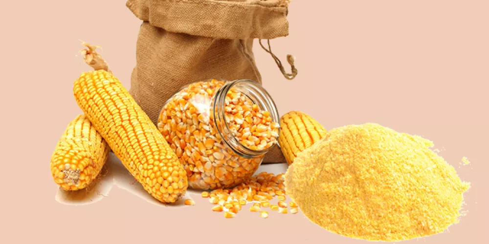 بحث عن الذرة