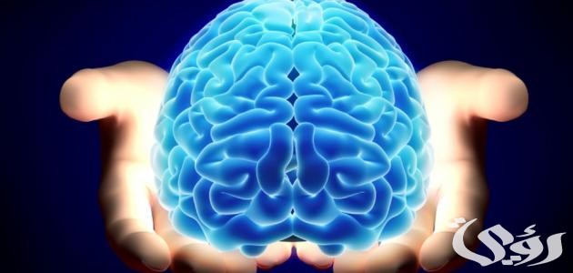 بحث عن الذكاء