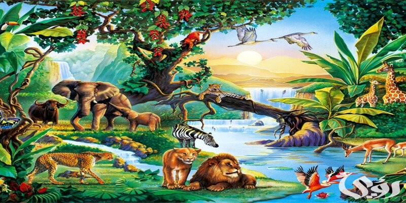 بحث عن الكائنات الحية