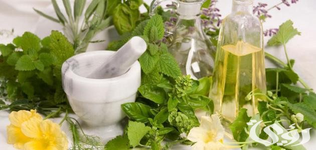 بحث عن النباتات الطبيعية بالصور كامل 1 بحث عن النباتات الطبيعية بالصور 3