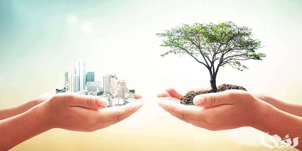 بحث عن النظرية الايكولوجية 5 بحث عن النظرية الايكولوجية