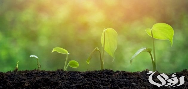 بحث عن خصائص البيئة الزراعية