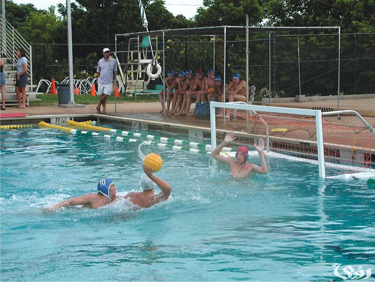 بحث عن كرة الماء