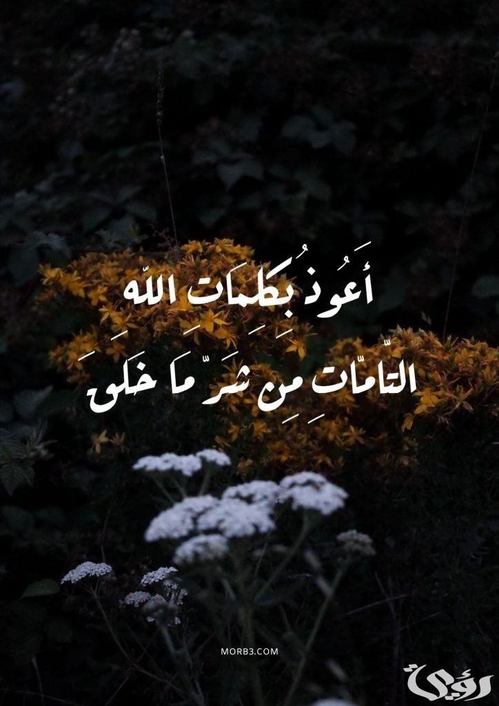 تفسير رؤية كلمة أعوذ بكلمات الله التامات من شر ما خلق في المنام 5 تفسير أعوذ بكلمات الله التامات من شر ما خلق في المنام