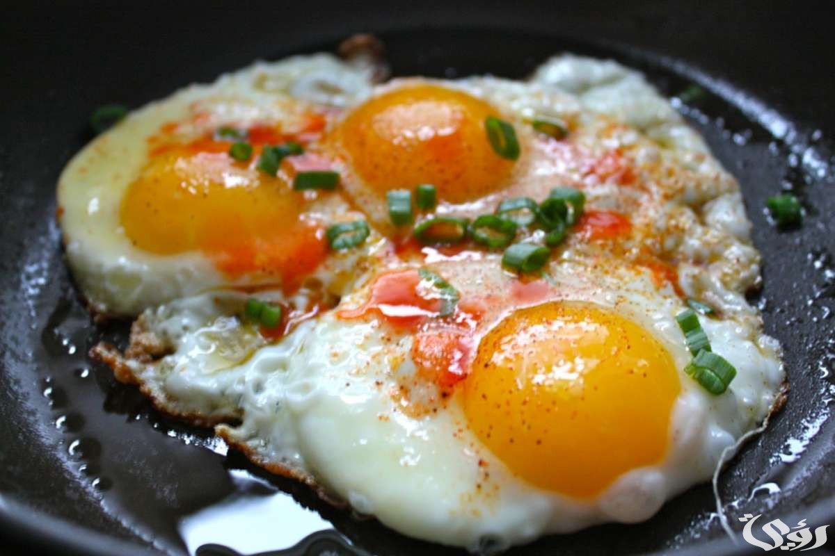 تفسير حلم اكل البيض المقلي