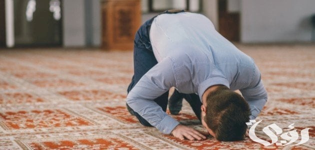 ما هي السورة التي تقرأ بعد صلاة العشاء 4 ما هي السورة التي تقرأ بعد صلاة العشاء