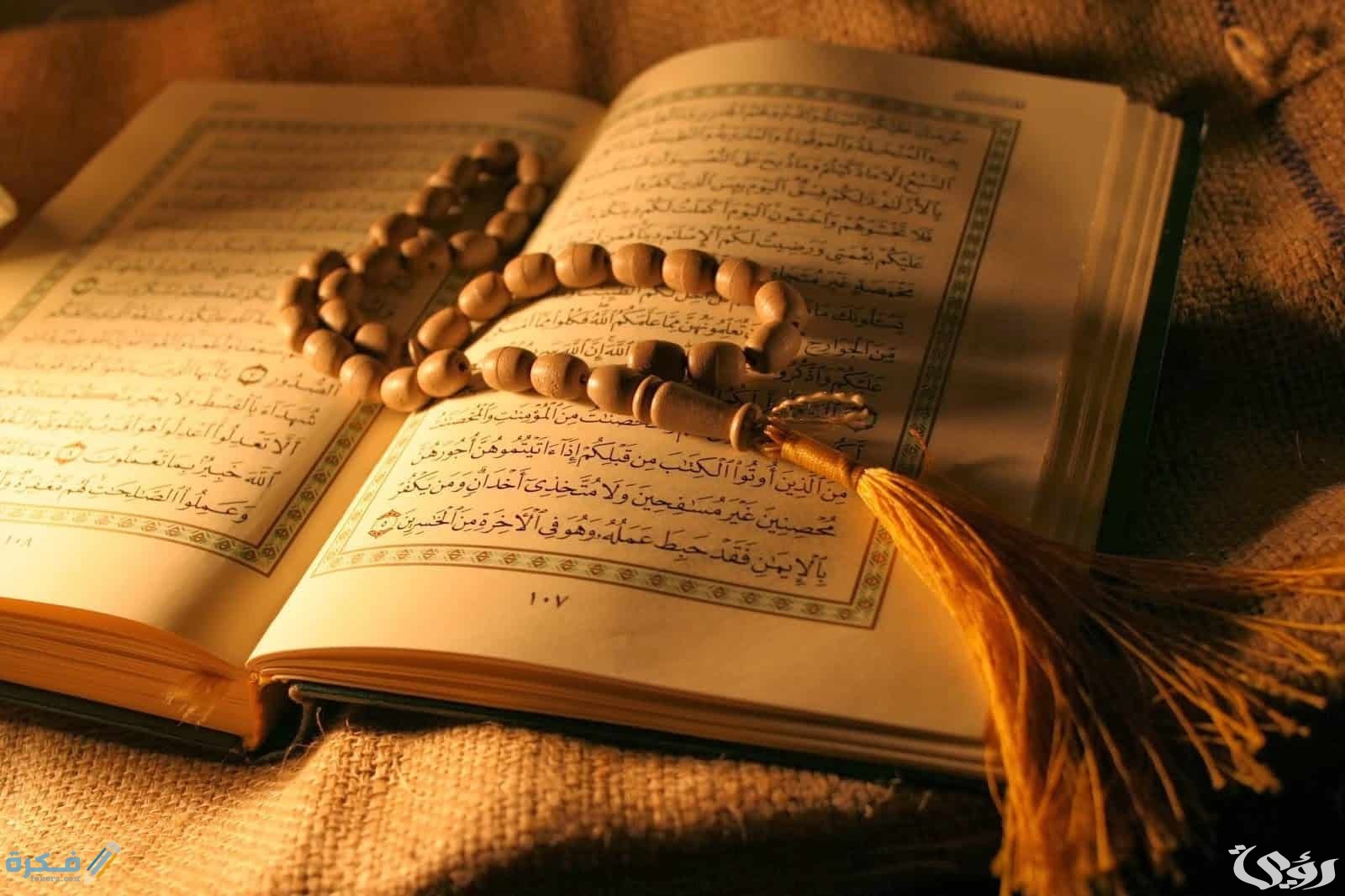 ما هي السورة التي لا يوجد فيها حرف الكاف 1 ما هي السورة التي لا يوجد فيها حرف الكاف