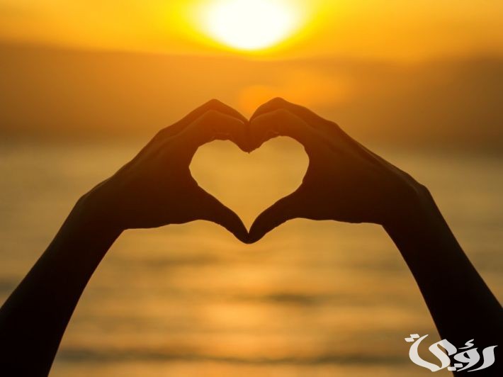 وضعية إدماجية عن الوطن