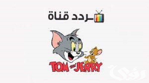 القط بيجري ورا الفار.. تردد قناة توم وجيري الجديد TOM and JERRY 2026 4 تردد قناة توم وجيري