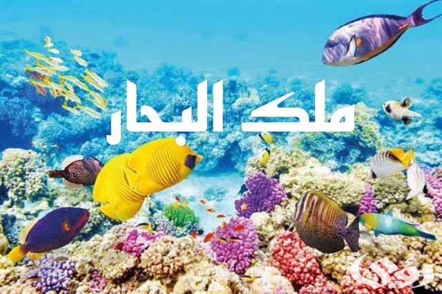 أسماء مطاعم سمك