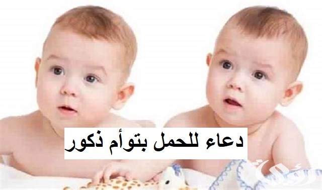 دعاء للحمل بتوأم ذكور