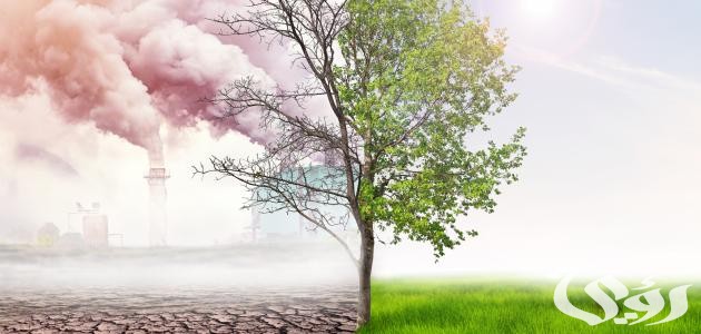 اذاعة مدرسية عن تلوث البيئة