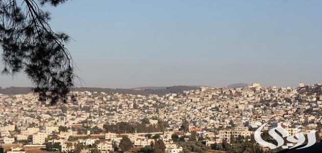 اذاعة مدرسية عن جنين 