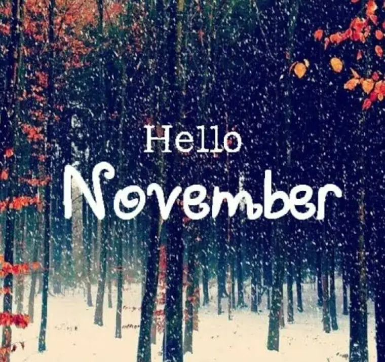 اذاعة مدرسية عن شهر نوفمبر 4 اذاعة مدرسية عن شهر نوفمبر