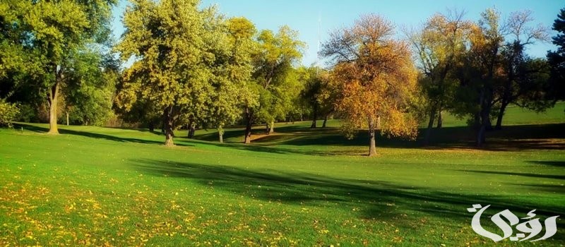 اذاعة مدرسية عن لنجعلها خضراء