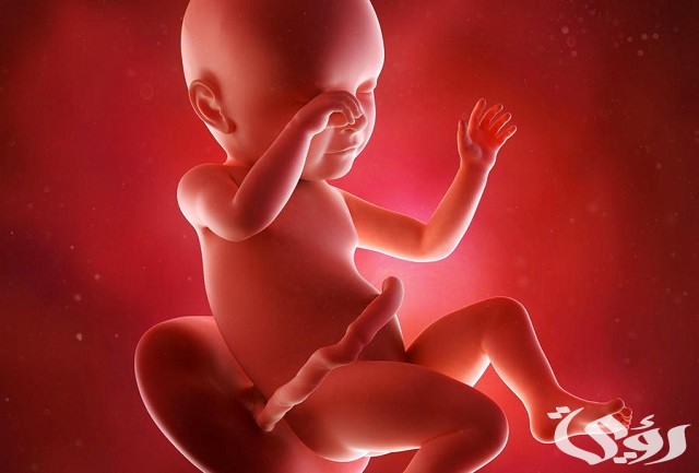 300+ دعاء لزيادة جمال الجنين مكتوب 2 دعاء لزيادة وزن الجنين