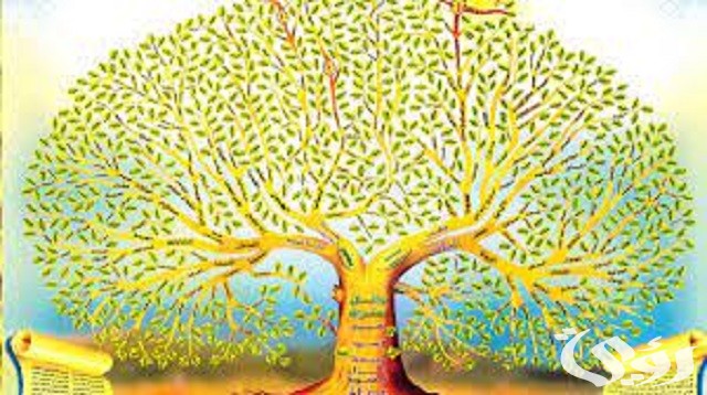 نسب وأصل عائلة المدلج في السعودية والكويت