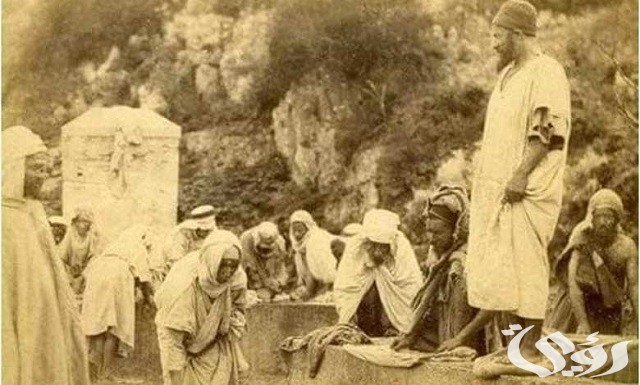 طريقة معرفة شجرة العائلة في الجزائر 2026 2 معرفة شجرة العائلة في الجزائر