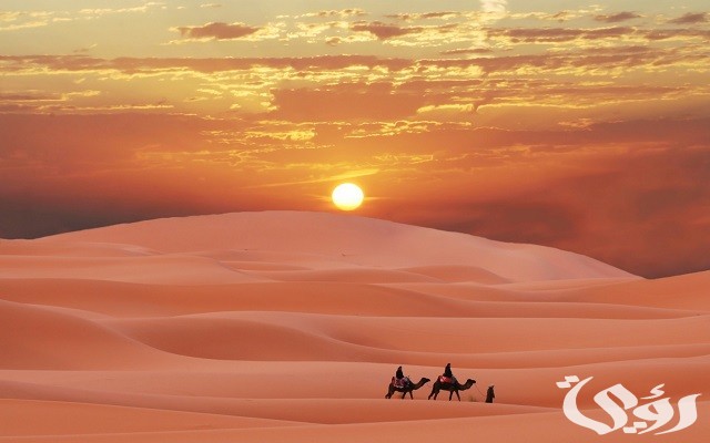 ما هو اصل عائلة المفرجي من أي قبيلة 2 أصول عائلة المفرجي من أي قبيلة؟