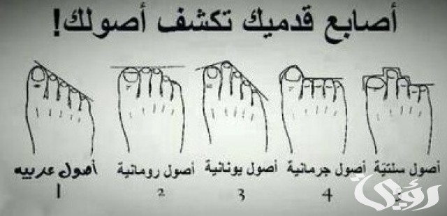 شرح خطوات معرفة النسب من أصابع القدم