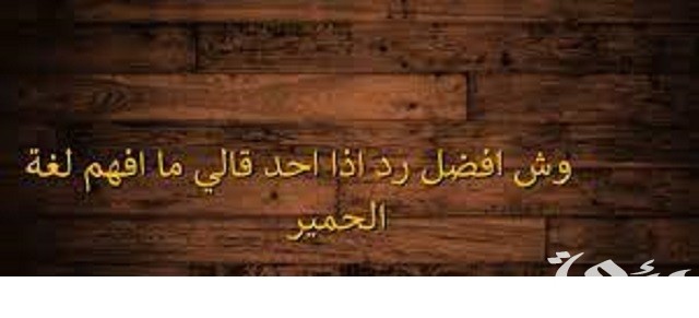 أفضل الردود إذا أحد قالي ما أفهم لغة الحمير