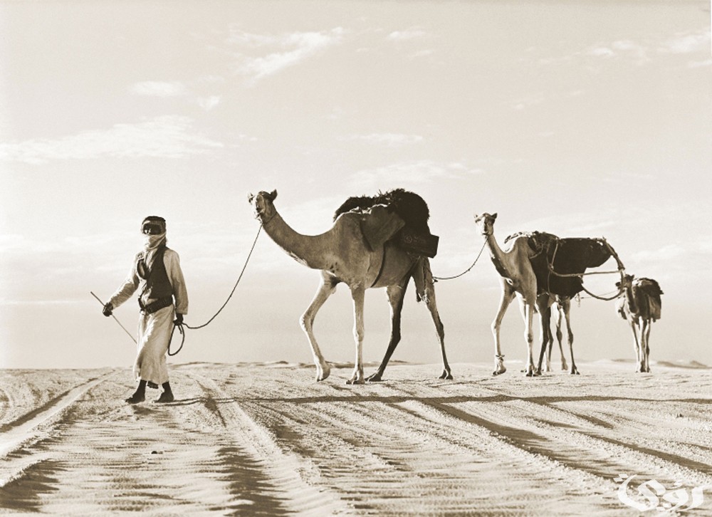 أكبر قبائل الإمارات