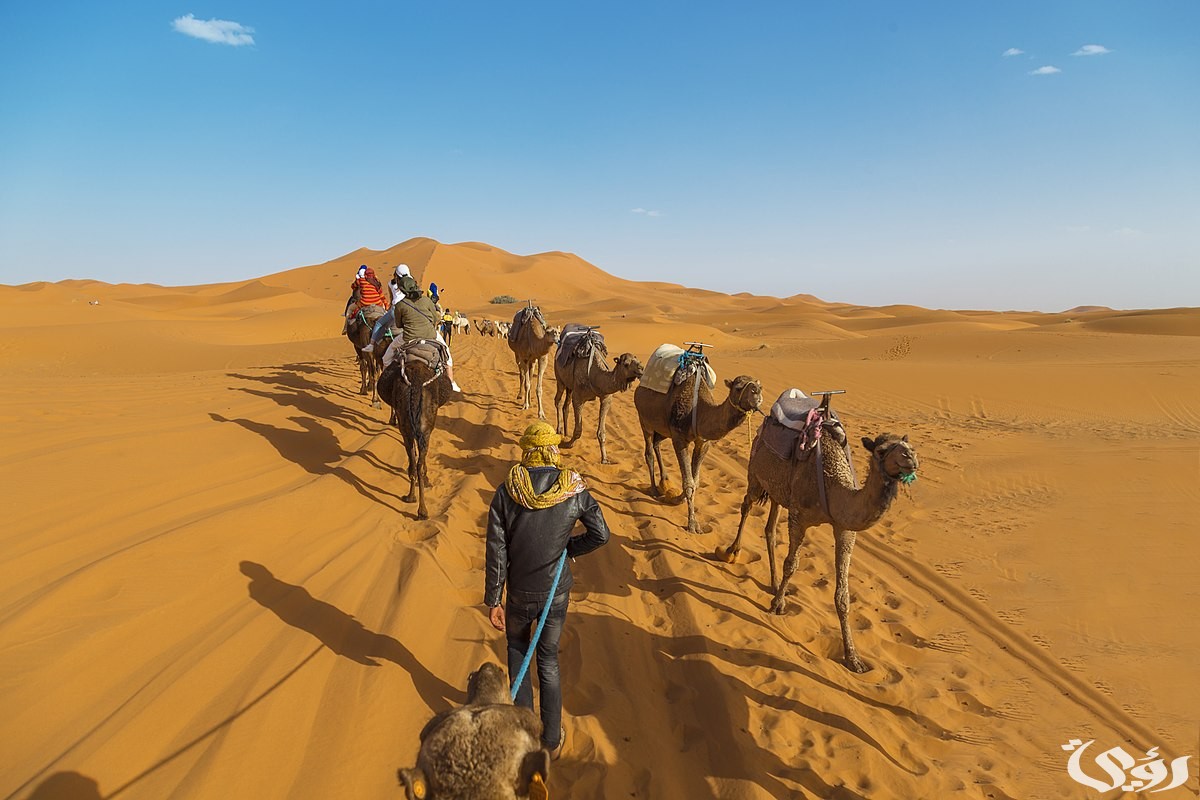 الحسيني وش يرجع