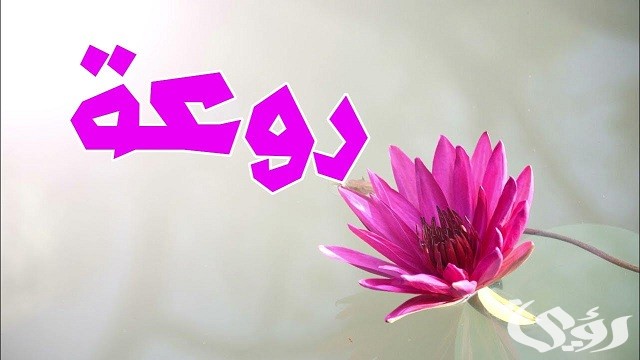 الرد على كلمة روعة من خلال 59 عبارة