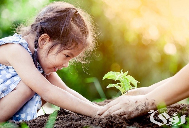 بوستات عن النية الصافية الطيبة التي تورث الخير
