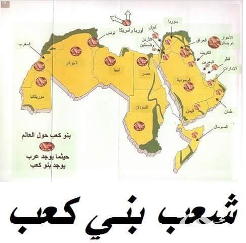 كم عدد قبيلة بني كعب