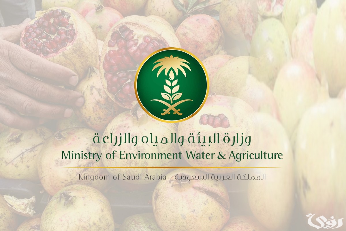 شرح خطوات تسجيل الدخول في برنامج دعم صغار مربي الماشية 3 برنامج دعم صغار مربي الماشية 1445